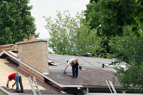 Best Roof Maintenance Services  in Sea Breeze, NC
