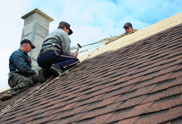 Professional Roofing Contractor in Sea Breeze, NC